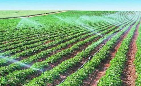 可以看操逼视频的网站农田高 效节水灌溉
